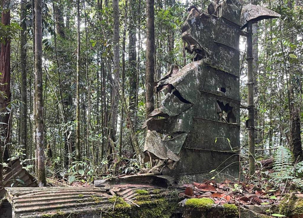 Lika Liku Menemukan Pesawat Glen Martin M574 yang Hilang 83 Tahun Lalu di Hutan&nbsp;Kalimantan